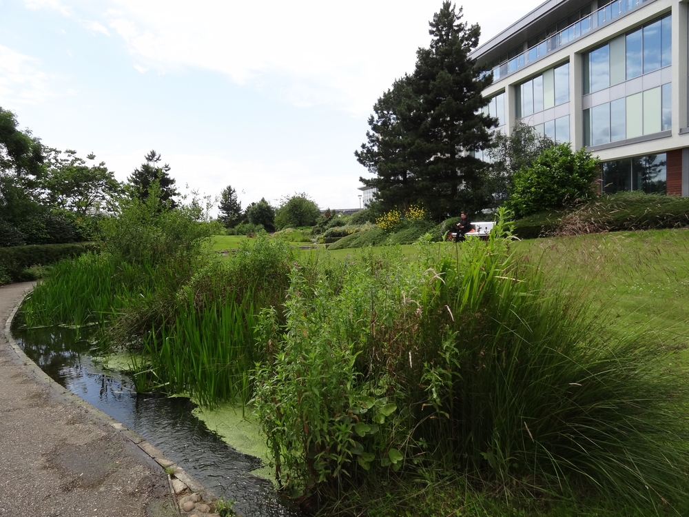 Milton,Keynes,,Uk,-,Oct,22,,2015:,Sustainable,Urban,Drainage